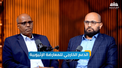 هل تسقط المعارضة الإثيوبية نظام أبي أحمد؟